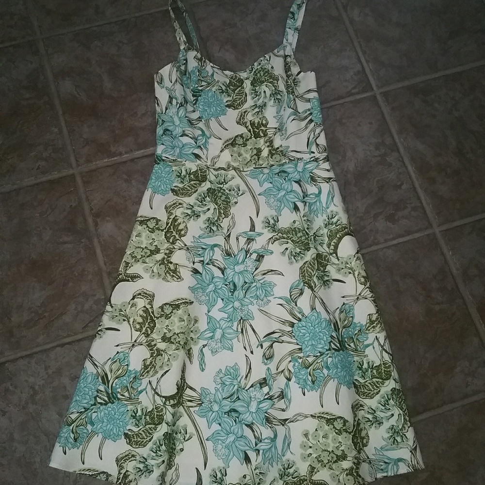 Ann Taylor Loft Floral Dress Size 4P